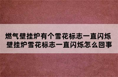 燃气壁挂炉有个雪花标志一直闪烁 壁挂炉雪花标志一直闪烁怎么回事